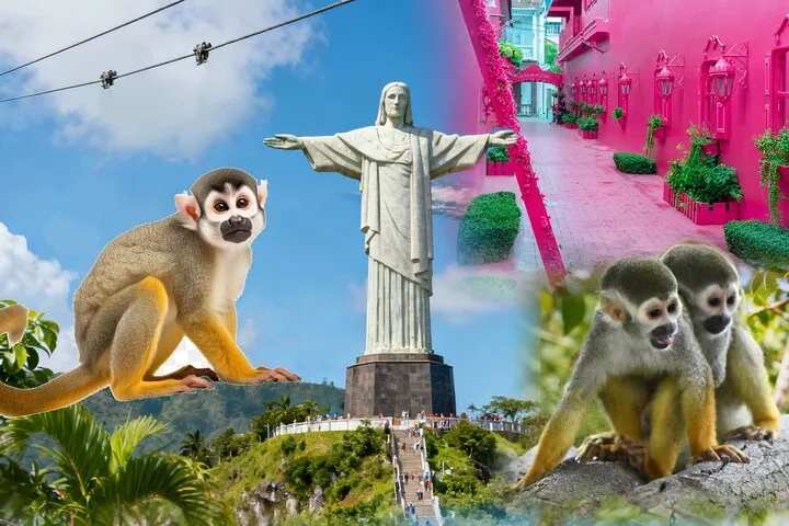 2x1: City Tour & Monkey Encounter