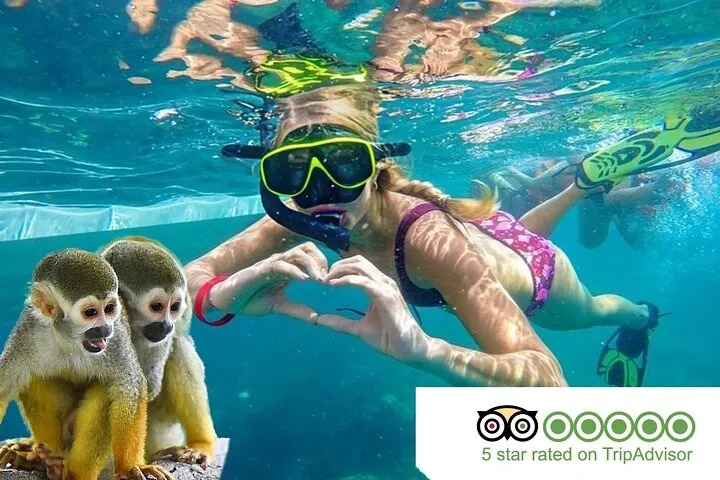 2X1: Snorkeling Tour plus MonkeyLand