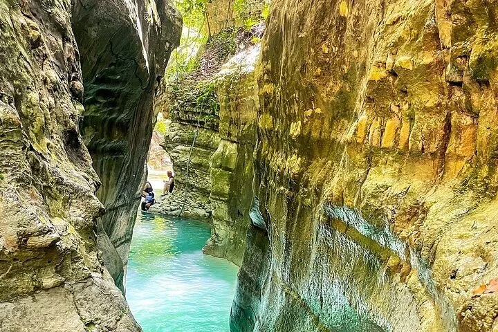 Canopy views Puerto Plata