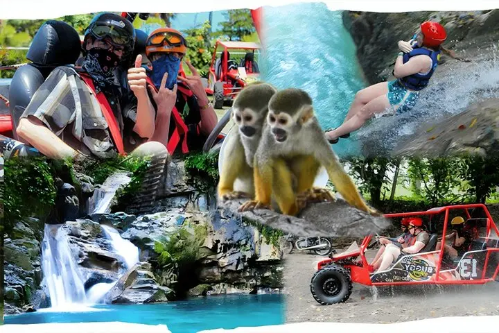 3x1: Monkeyland, Waterfalls & Buggy Tour