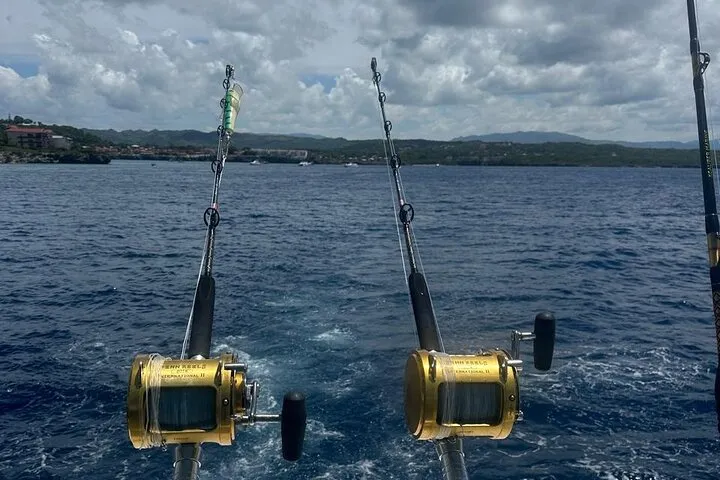 Trophy marlin catch
