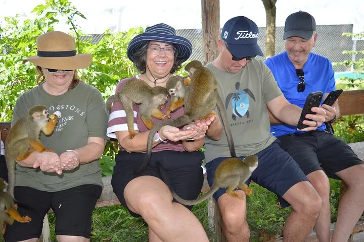 Cable Car, City Tour & Monkey Encounter