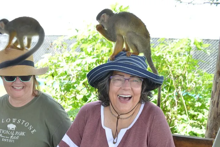 Waterfalls, Monkeys and Beach Tour